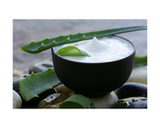 Aloe Essence Moisturizer (A daily moisturizer for all skin types)