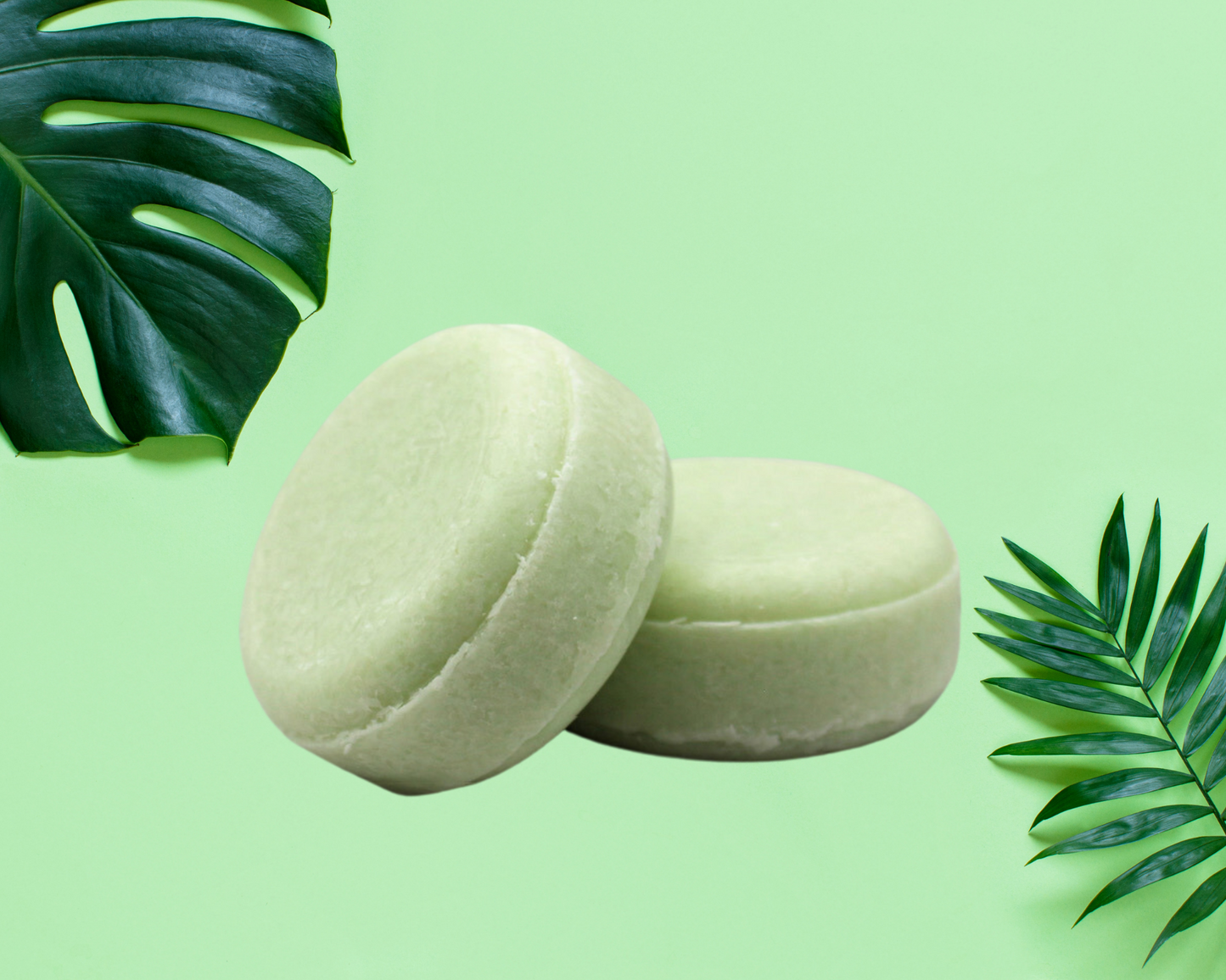Shampoo Bar