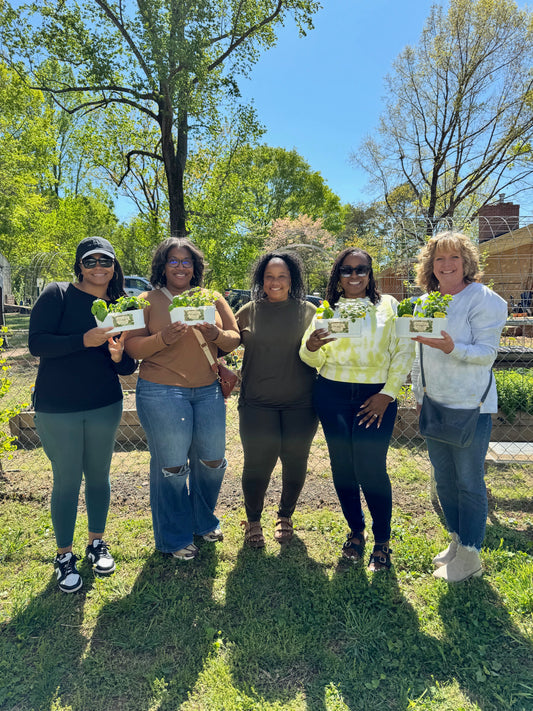 Plant Pray & Prosper Herb Garden Workshop